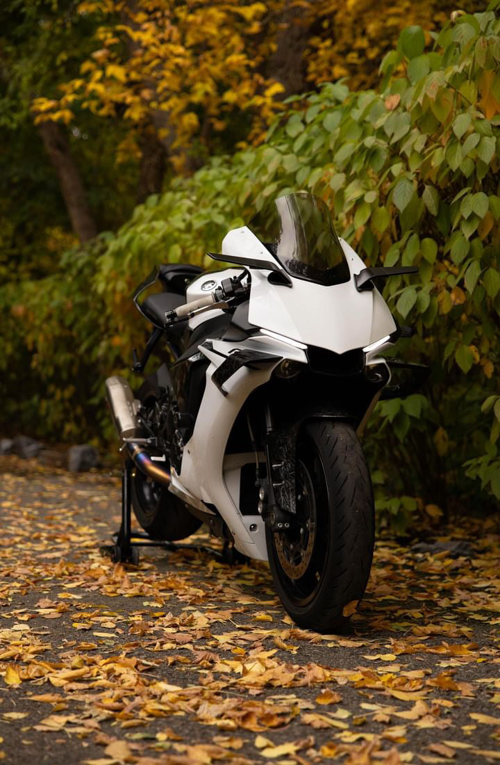 Winglet Design R1 Design Dry Carbon Fiber Winglets for 2015-2019 YAMAHA R1 RN32 – TL Motor
