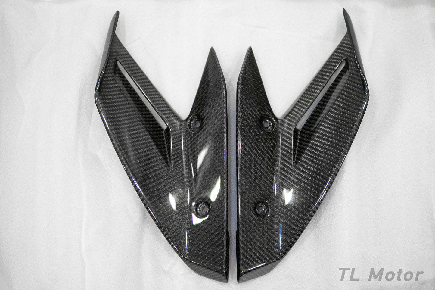 Carbon Fiber Winglets for 2015 - 2019 BMW S1000RR (K46)