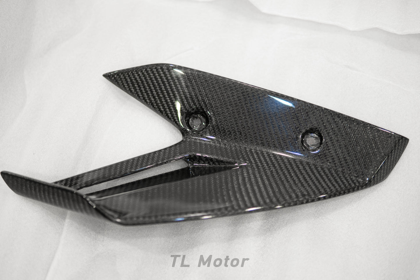 Carbon Fiber Winglets for 2015 - 2019 BMW S1000RR (K46)