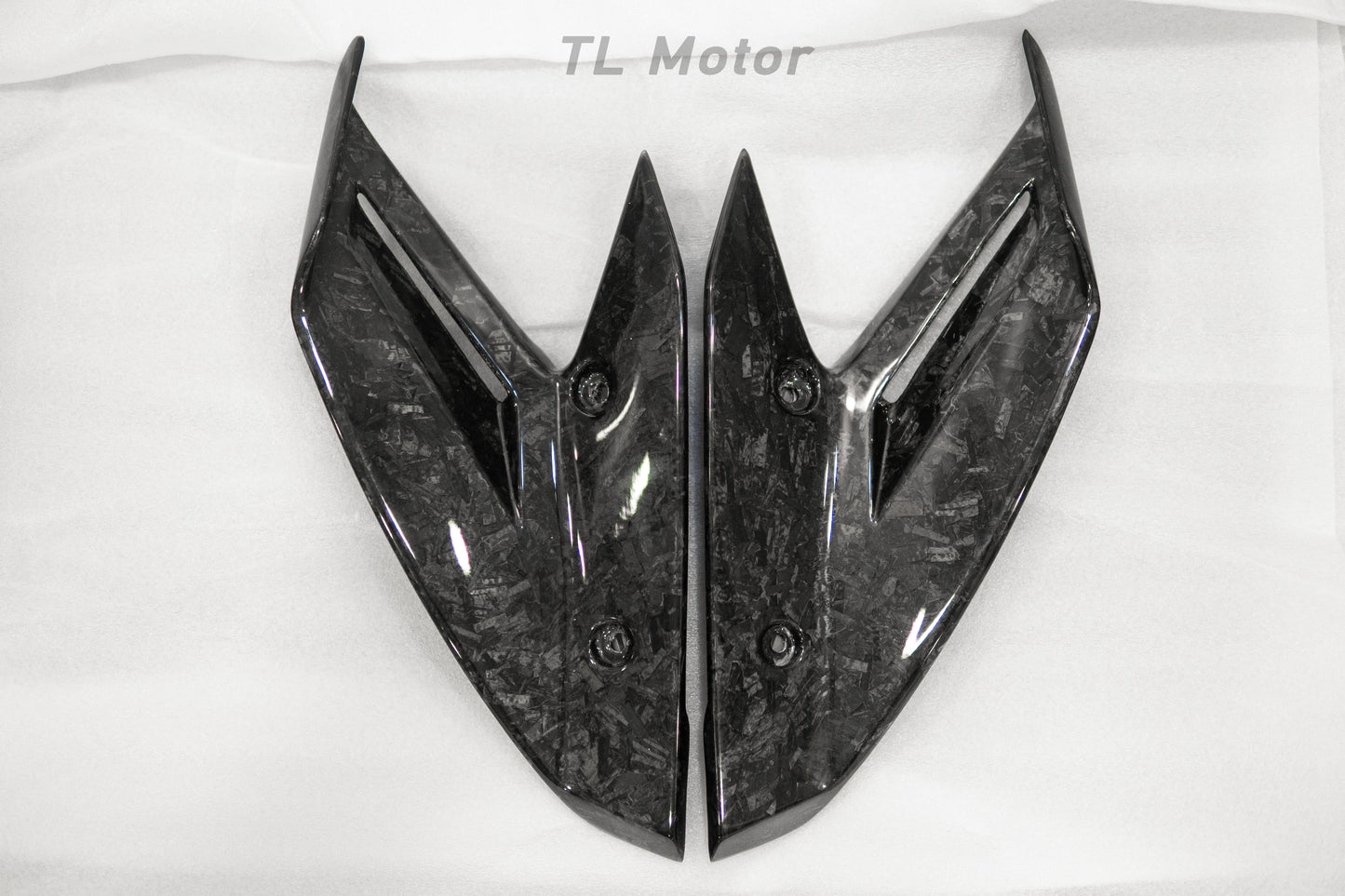 Carbon Fiber Winglets for 2015 - 2019 BMW S1000RR (K46)