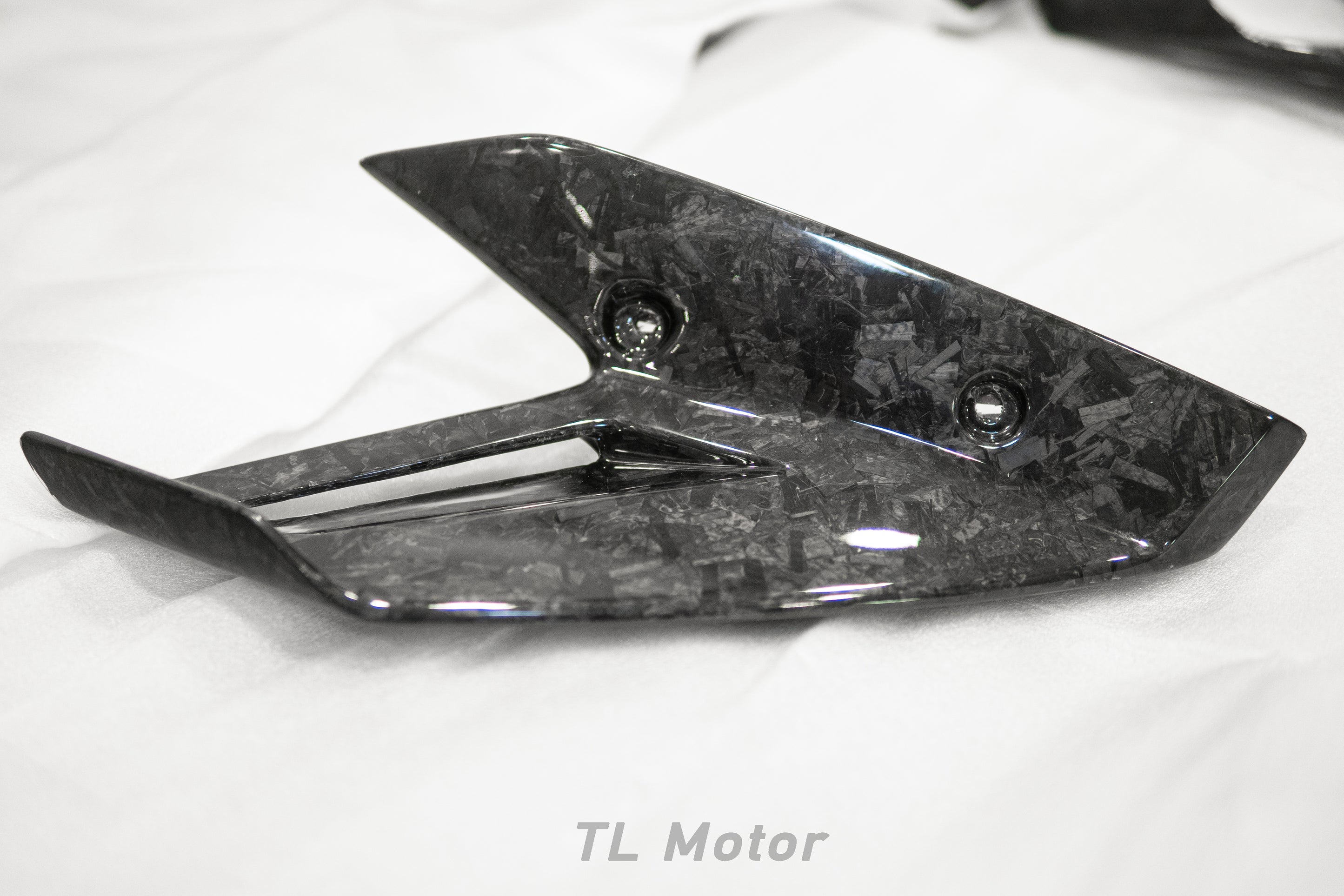 Carbon Fiber Winglets for 2015 - 2019 BMW S1000RR (K46) – TL Motor