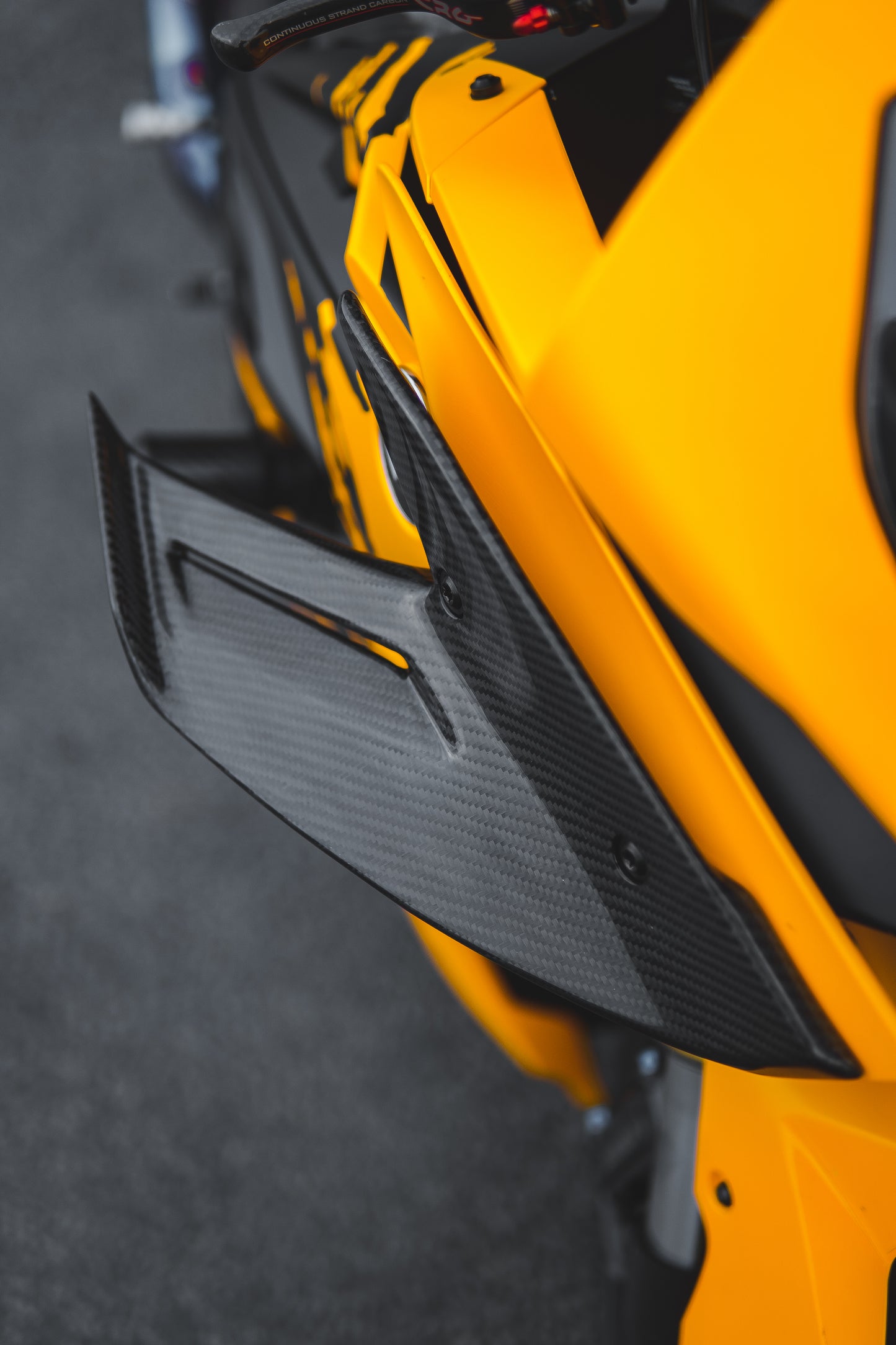 Carbon Fiber Winglets for 2015 - 2019 BMW S1000RR (K46)