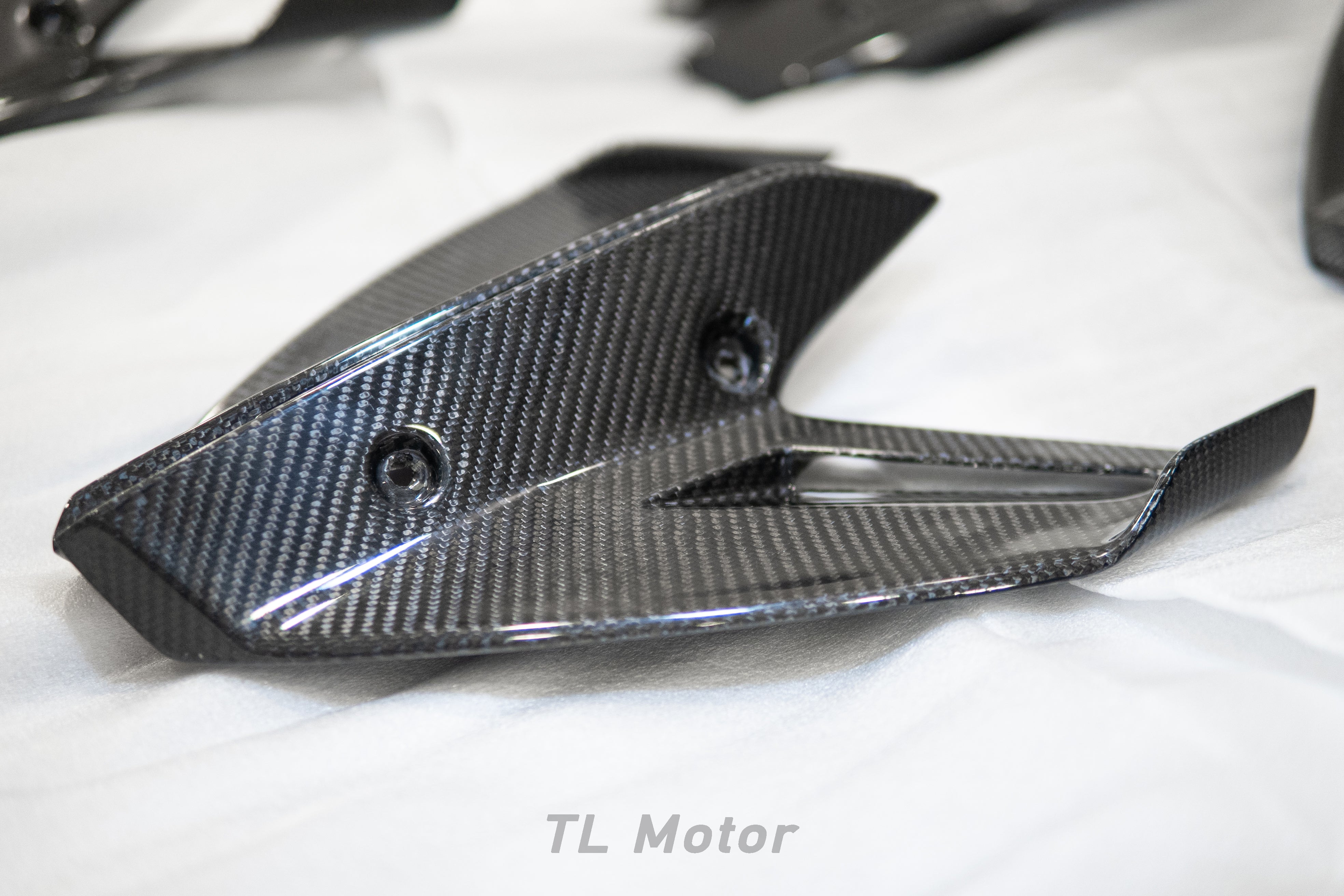 Carbon Fiber Winglets for 2015 - 2019 BMW S1000RR (K46)