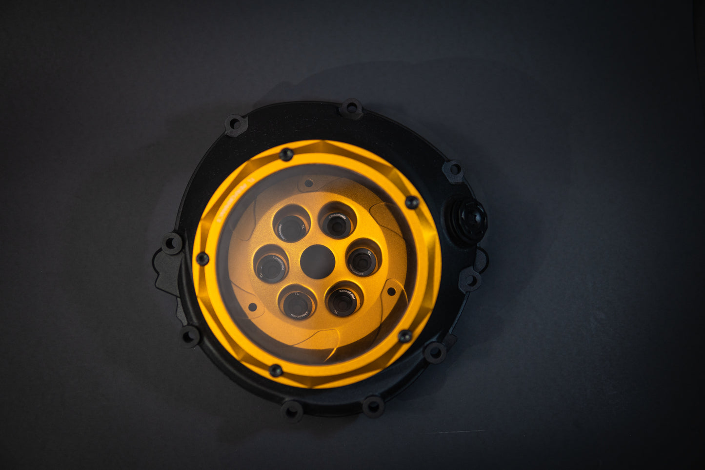 2010 - 2018 BMW S1000RR / S1000R / M1000RR Clear Clutch Cover (K46)